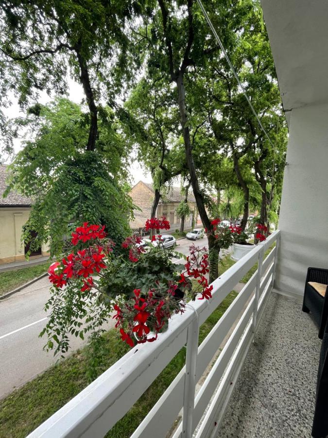 Apartman Venera Sombor Luaran gambar
